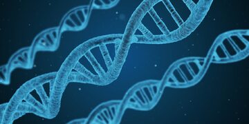 DNA, zdjęcie ilustracyjne
