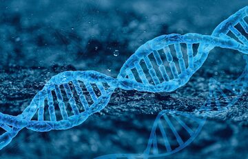 DNA, zdjęcie ilustracyjne