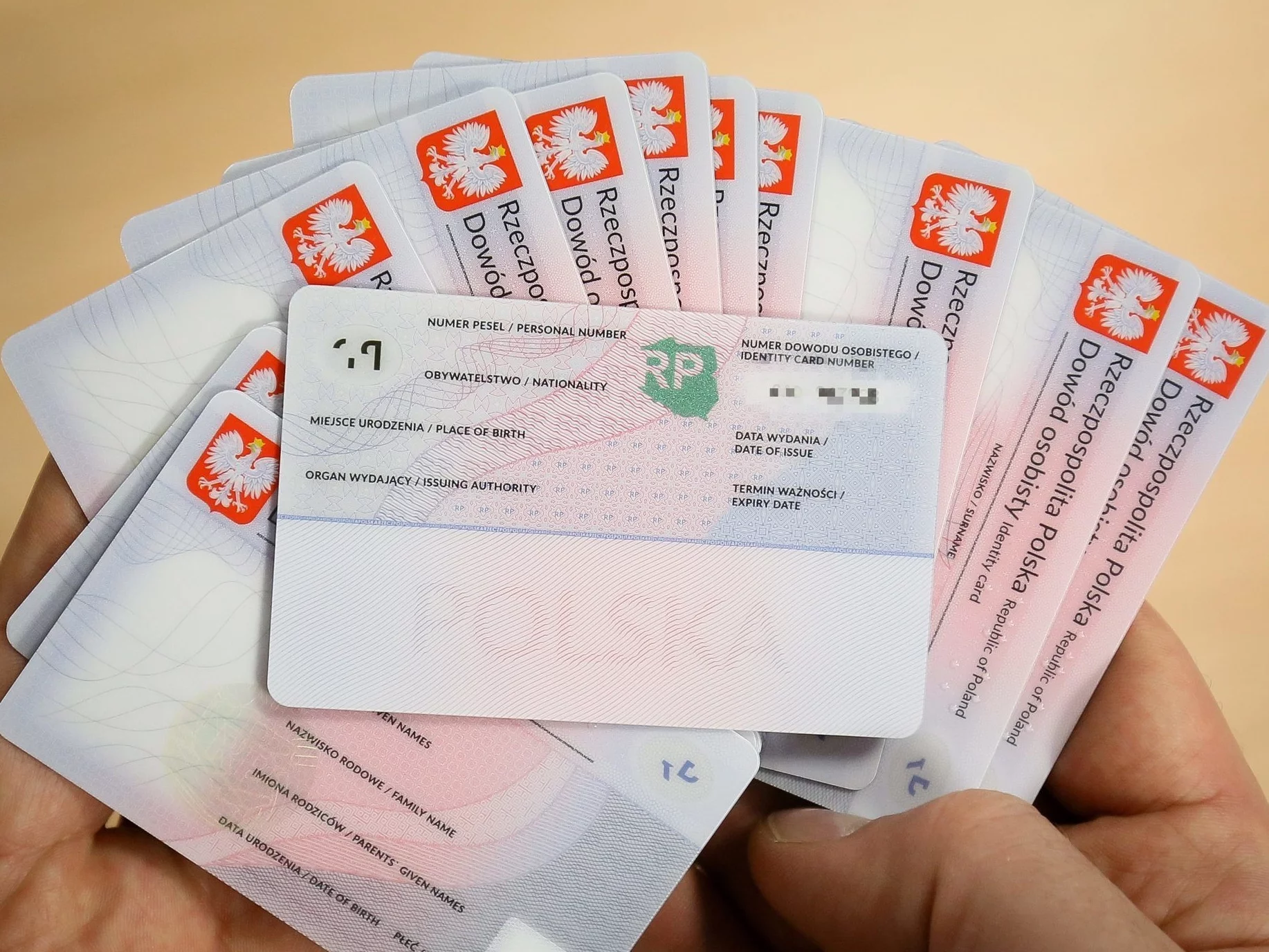 Ogromny wyciek danych na Dolnym Śląsku. "To jest skandal"