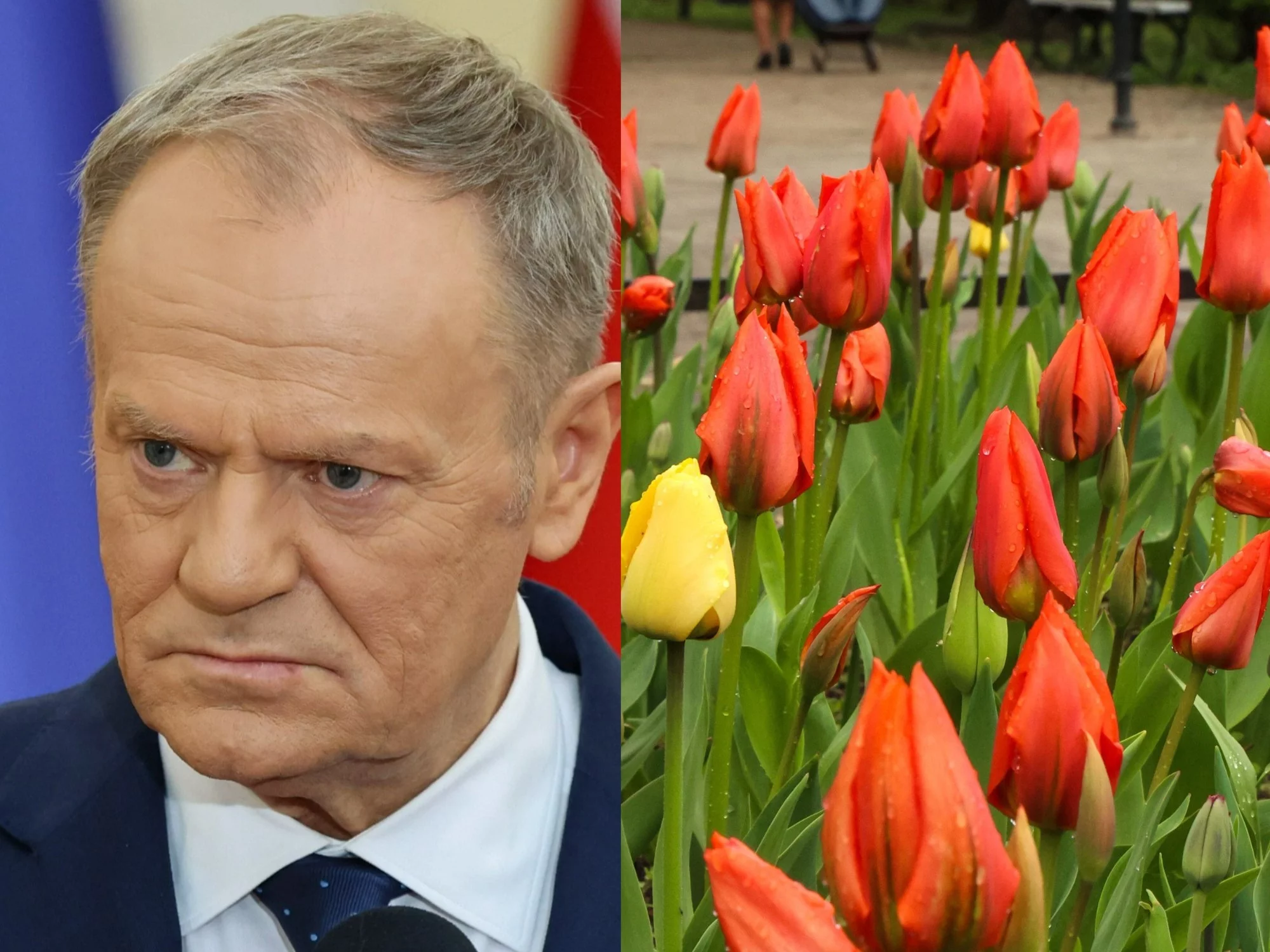 Donald Tusk chciał uczcić Dzień Kobiet. Jego wpis wywołał jednak lawinę kpin