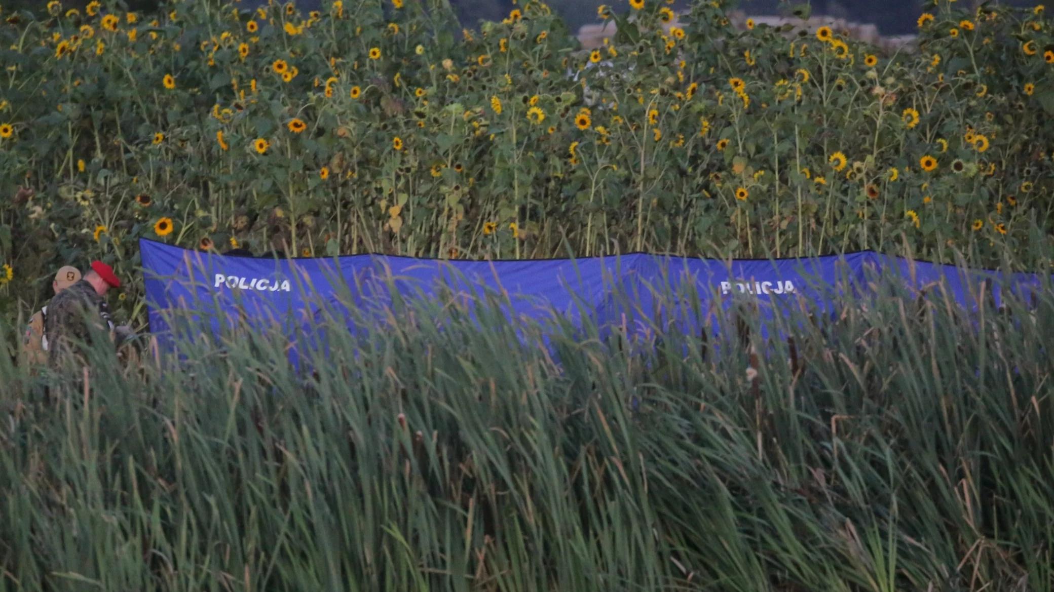 Nowe informacje ws. dronów. "Ujawnili je grzybiarze"