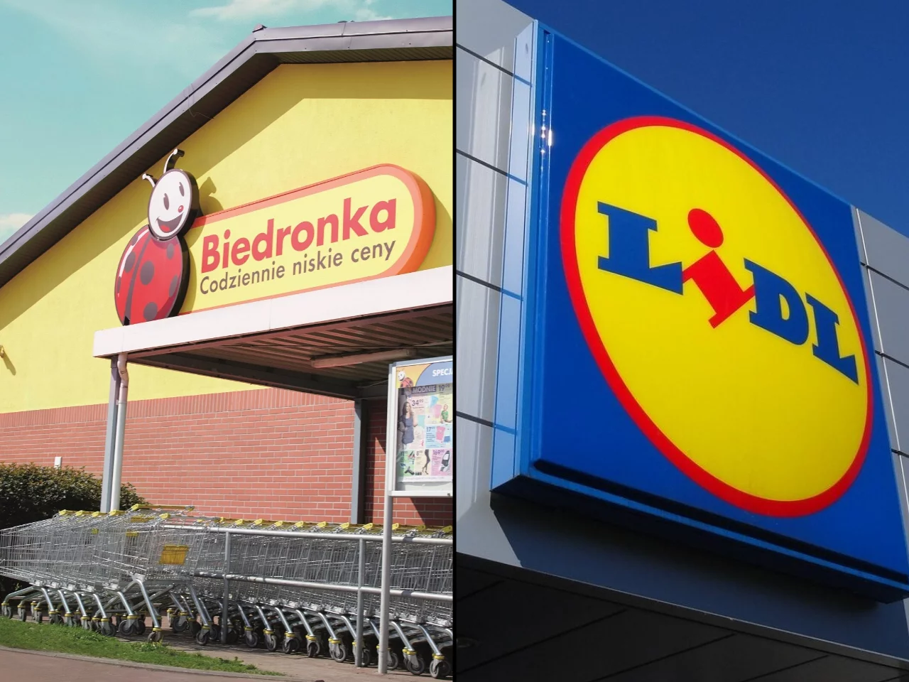 Biedronka i Lidl