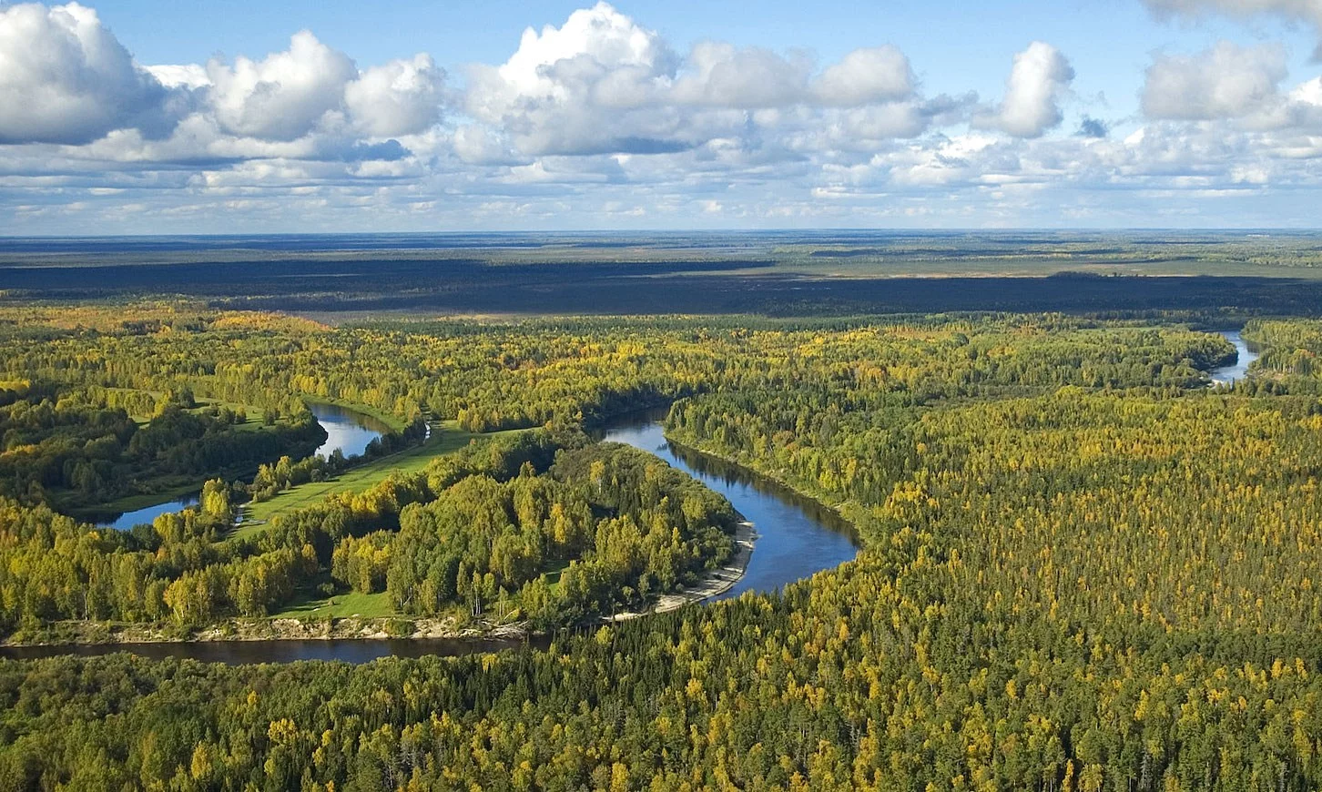 Nizina Zachodniosyberyjska
