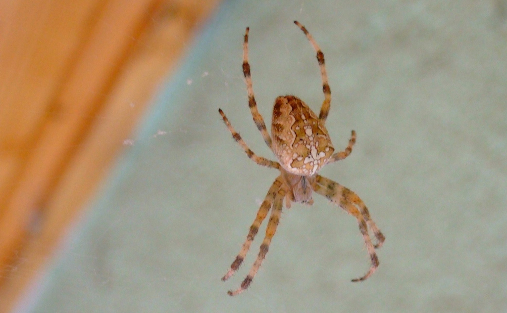 fot. zdjęcie ilustracyjne