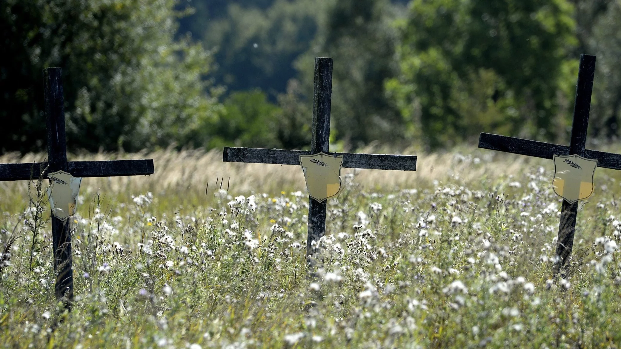 Problems with exhumations in Volhynia. "Contrary to what the ministry says"