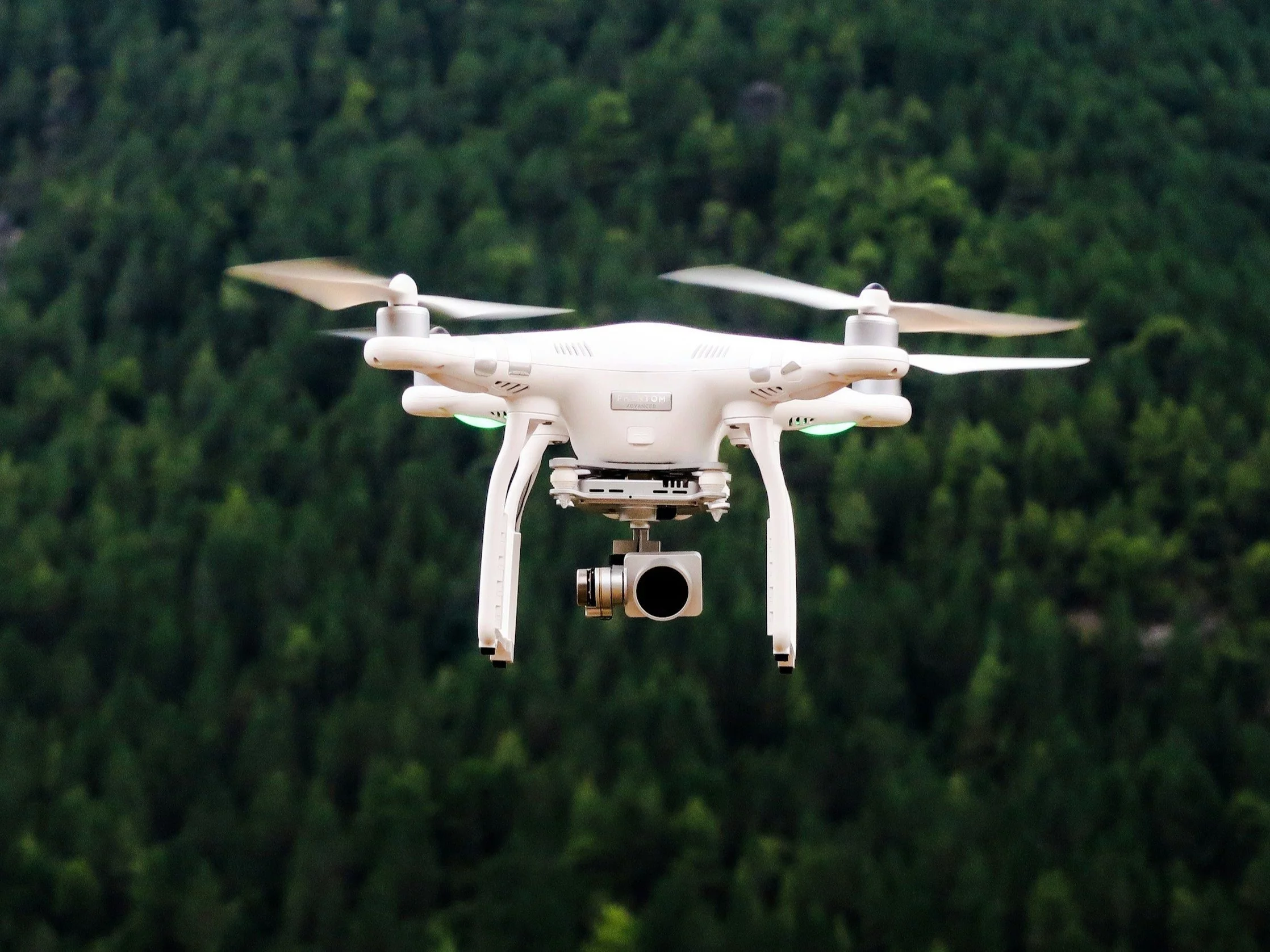 Dron wabik. Zdjęcie ilustracyjne