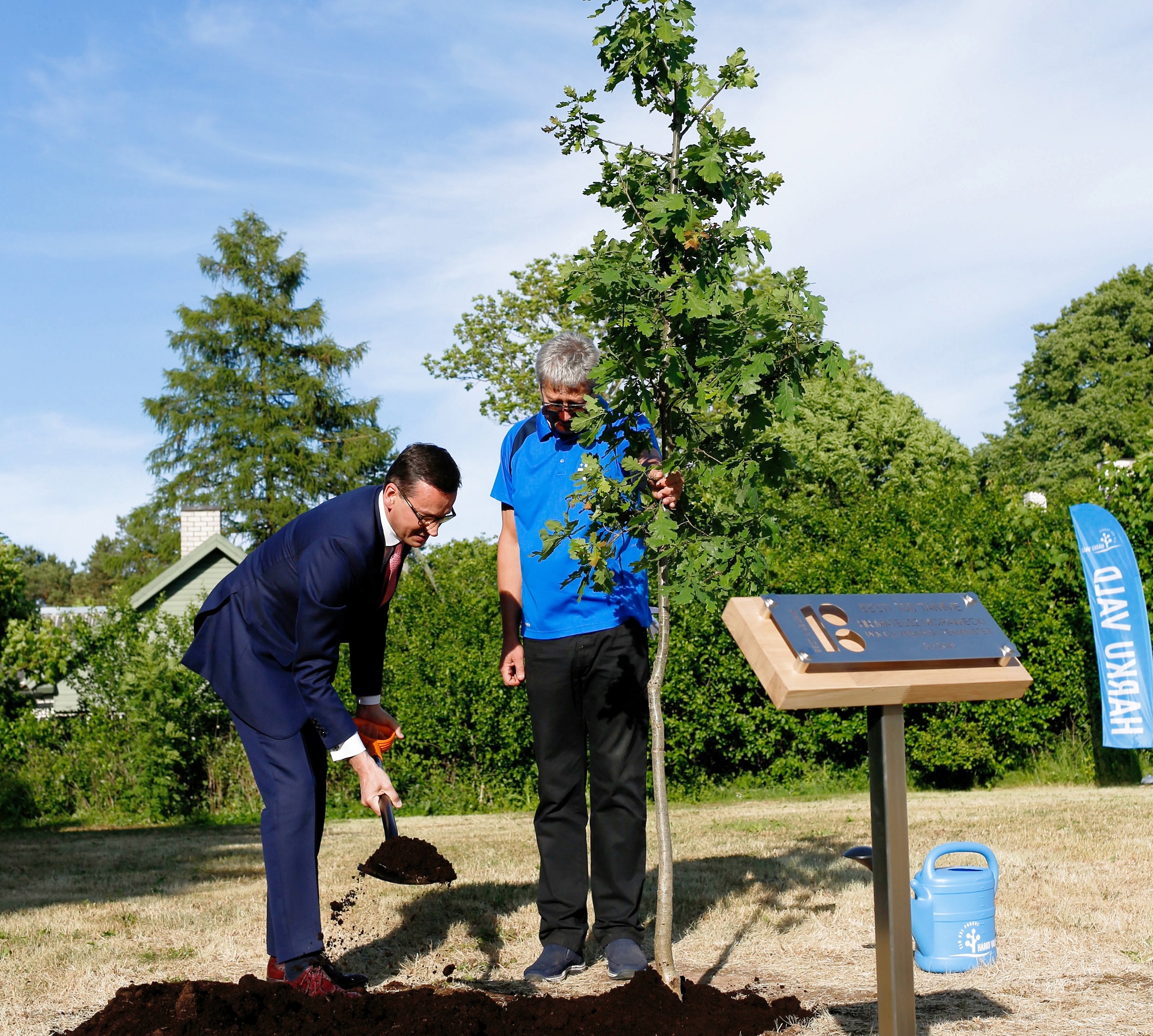 Premier RP Mateusz Morawiecki podczas sadzenie dębów w Tabasalu