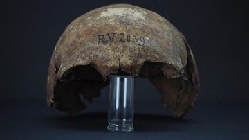 Fragment czaszki człowieka z Rinnukalns