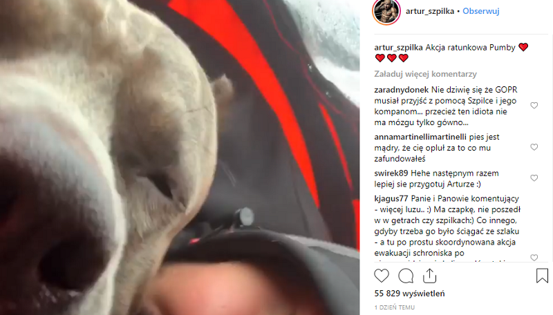 Bokser zabrał psa na Śnieżkę. Konieczna była interwencja GOPR