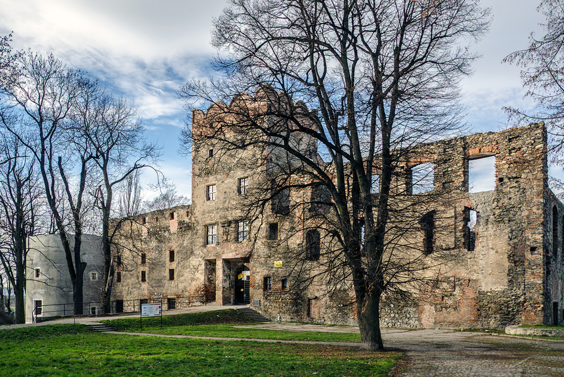 Ząbkowice Śląskie, ruiny zamku z XIV w.