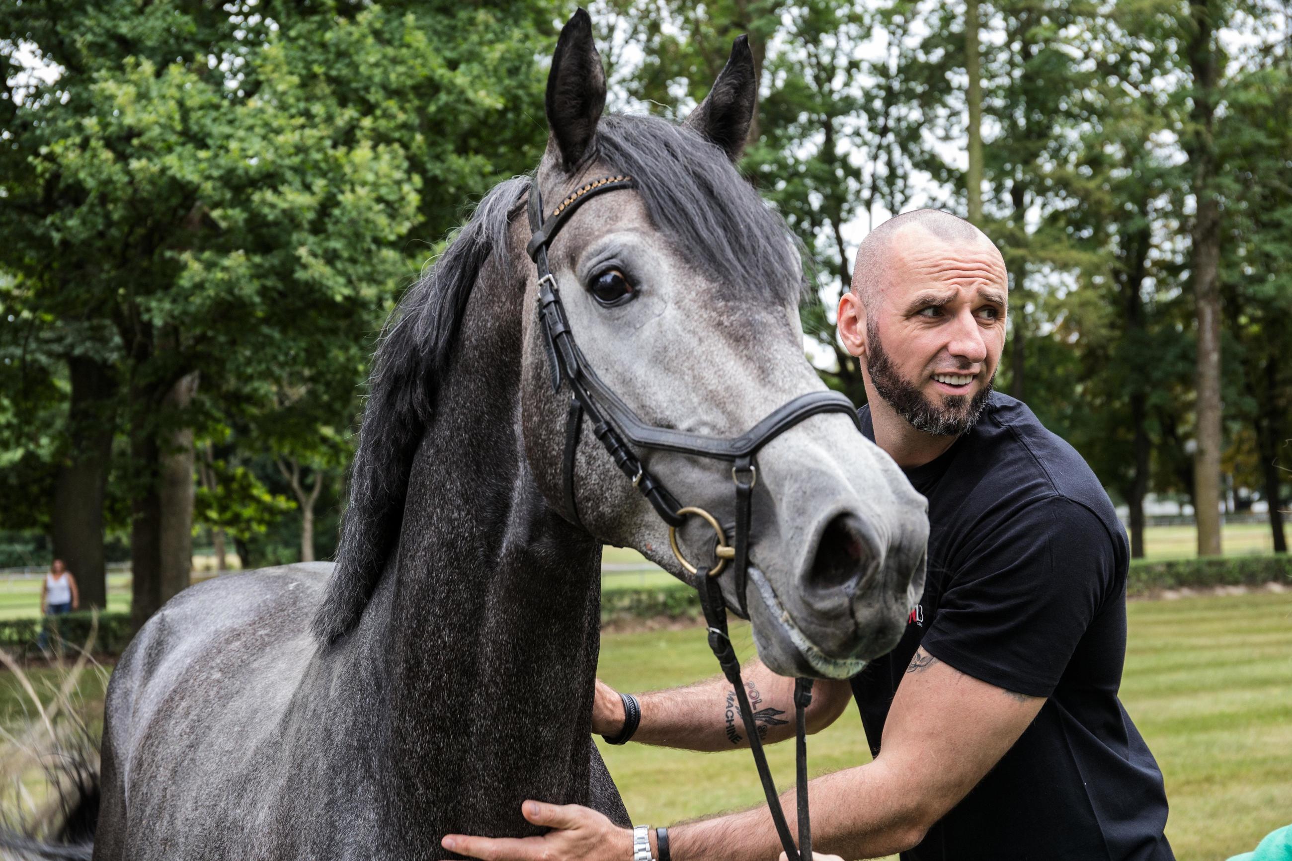 Marcin Gortat ze swoim ogierem MG Cedrik w Janowie Podlaskim