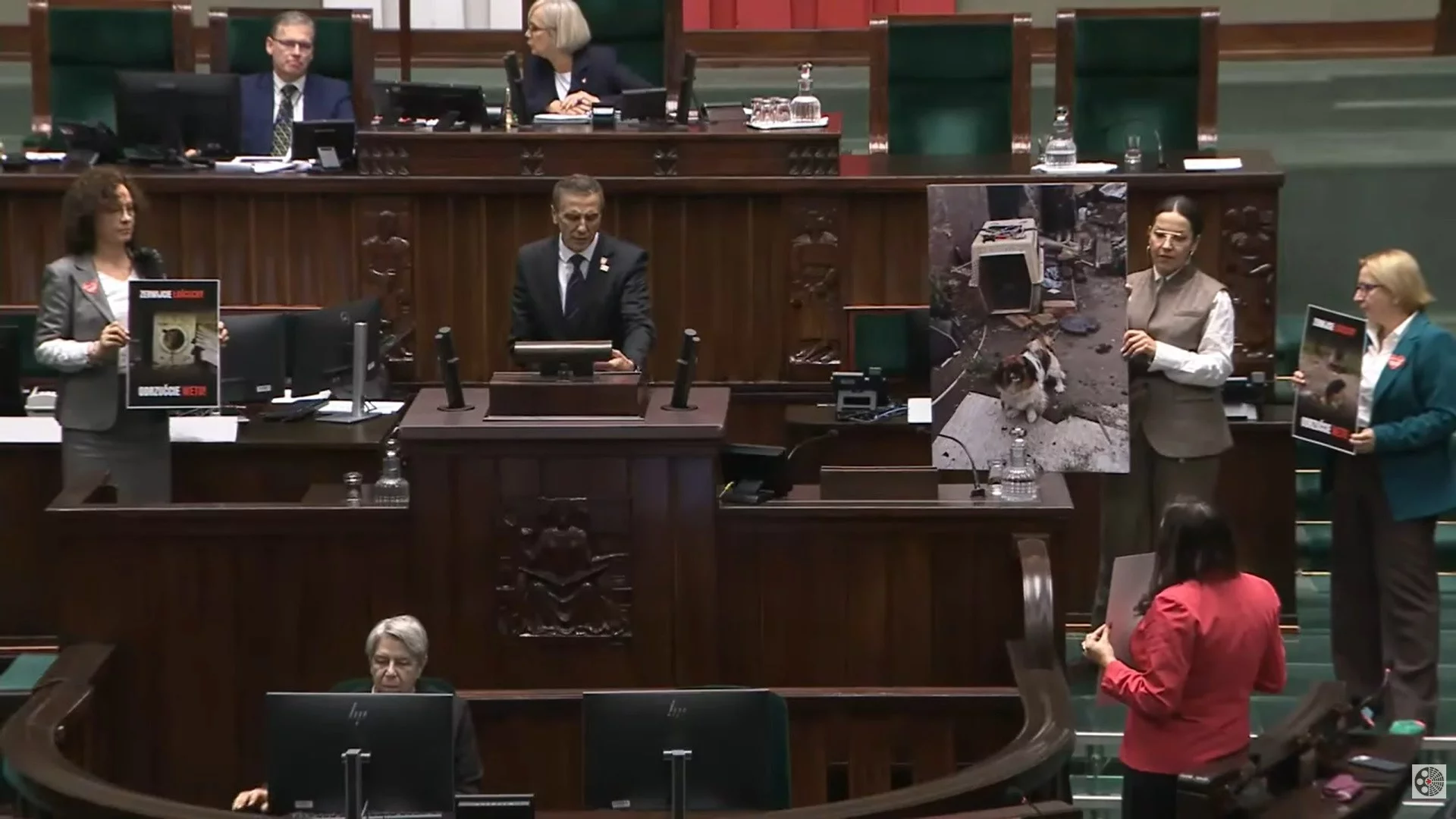 "Happening" w Sejmie. Sachajko: Pani marszałek to toleruje?