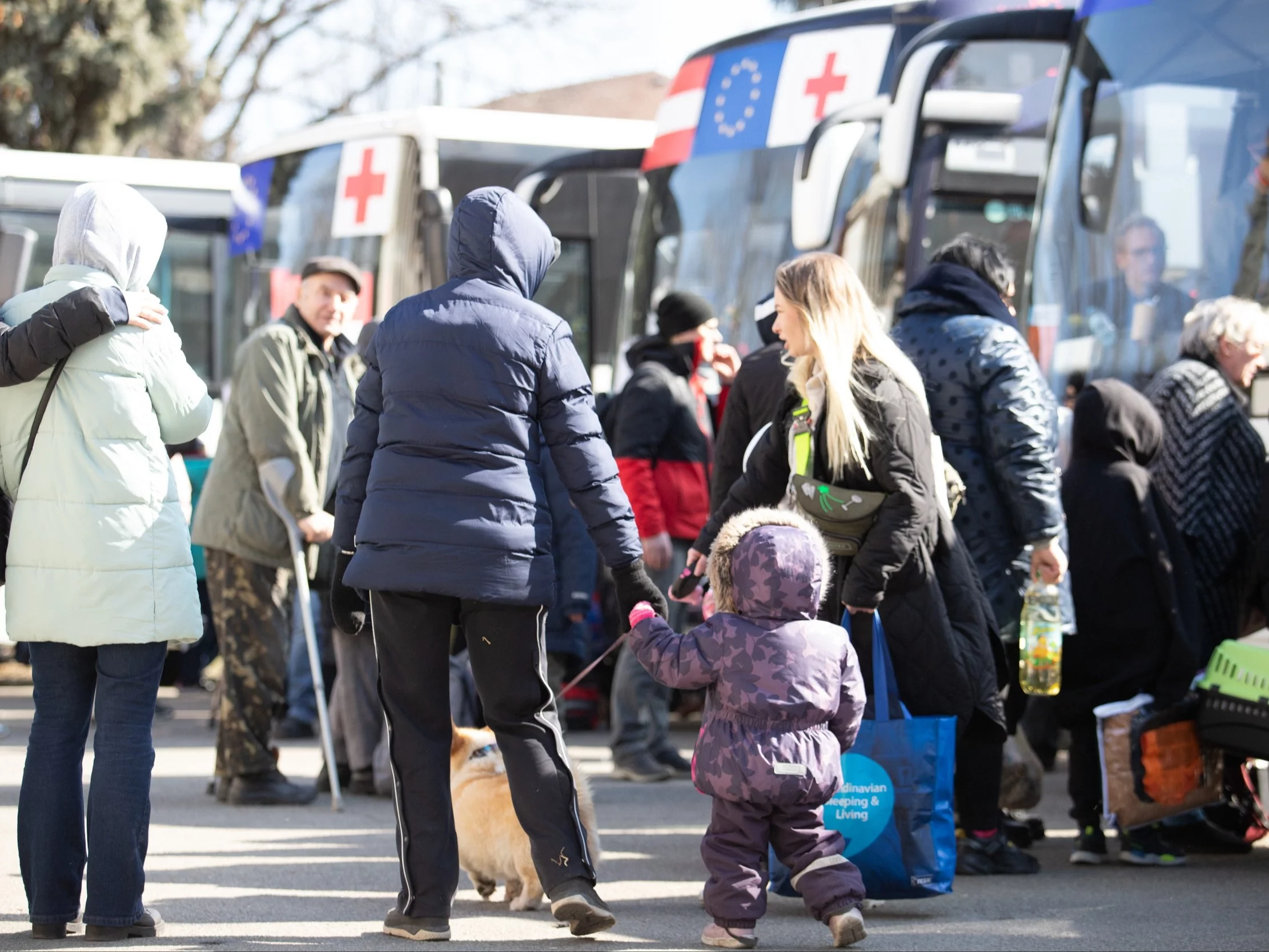 Holandia: Uchodźcy z Ukrainy powinni sami płacić za mieszkanie