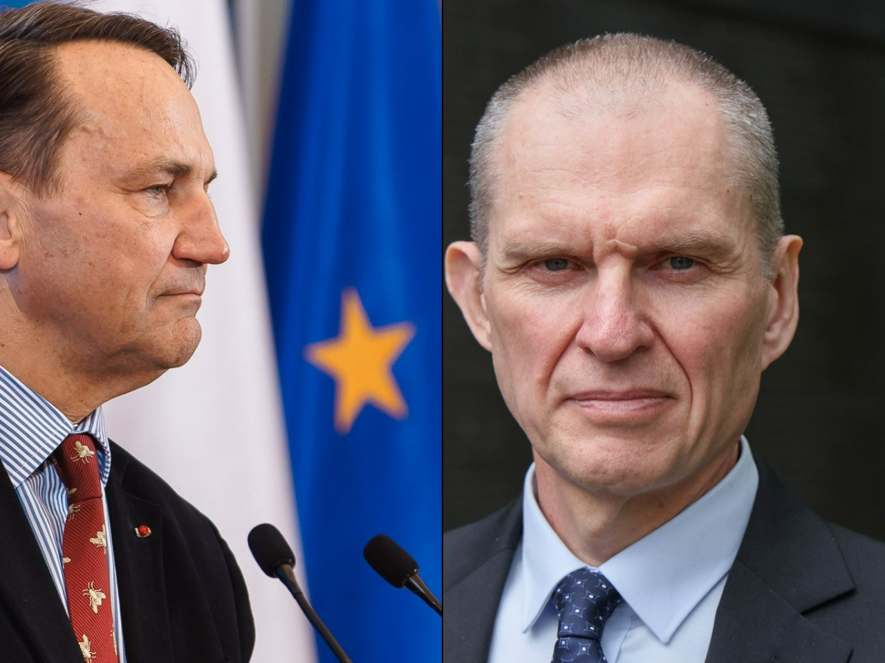 Radosław Sikorski / Andrzej Poczobut
