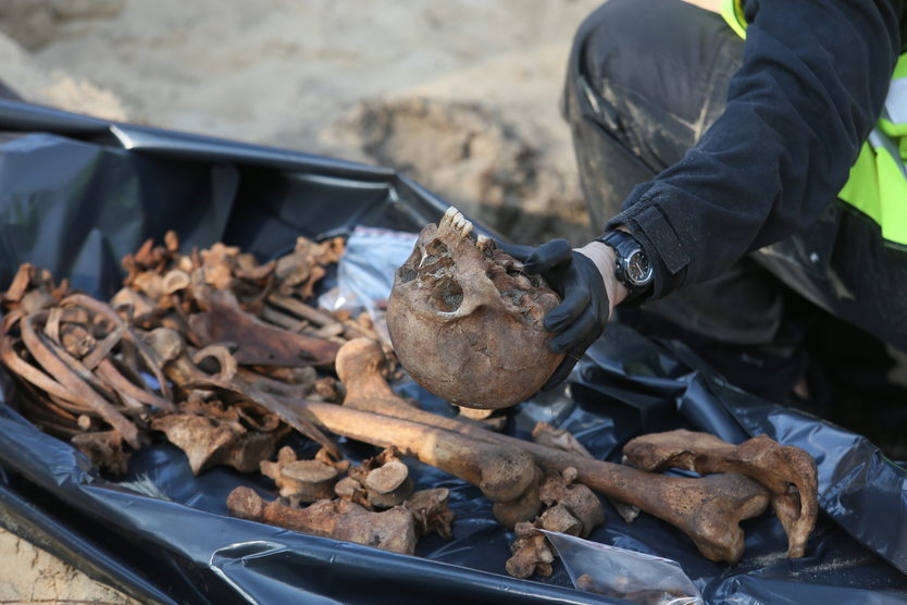 Zdjęcie ilustracyjne