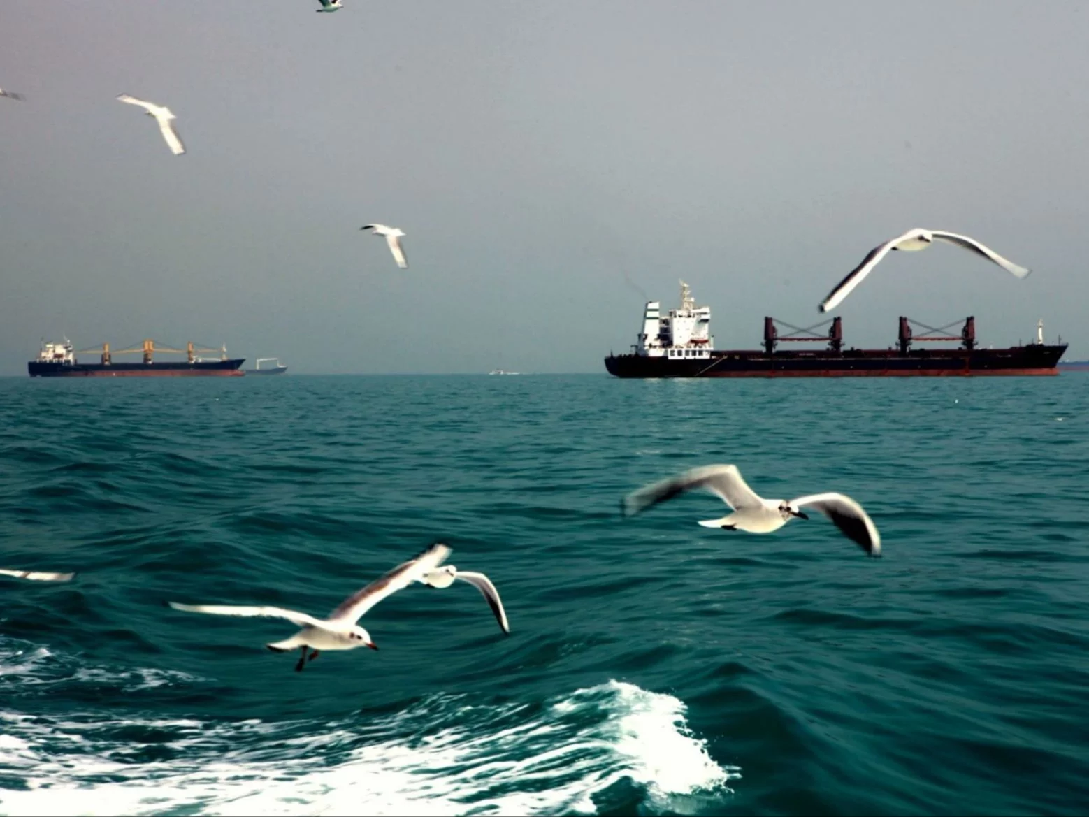 Cieśnina Ormuz, zdjęcie ilustracyjne