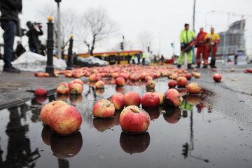 Jabłka rozsypane podczas protestu rolników na pl. Zawiszy w Warszawie