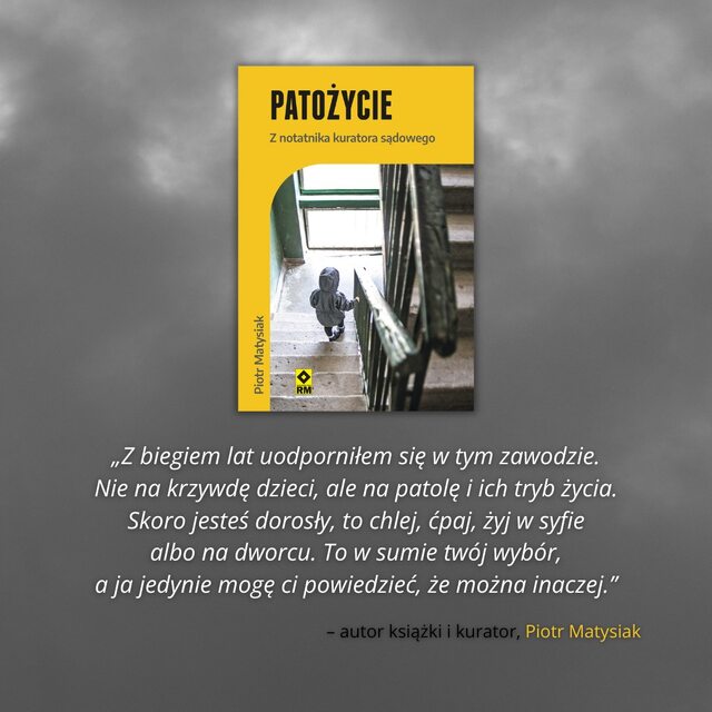 JAK WYGL DA PRACA KURATORA S DOWEGO visual data 7