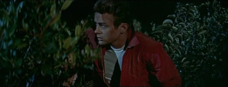 James Dean w „Buntowniku bez powodu”