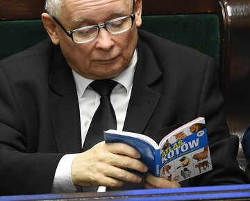 Jarosław Kaczyński czyta "Atlas kotów" w Sejmie