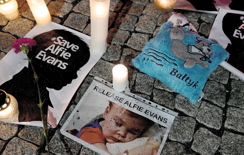 Warto było bronić Alfiego