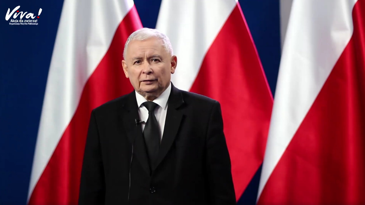 Jarosław Kaczyński, prezes PiS