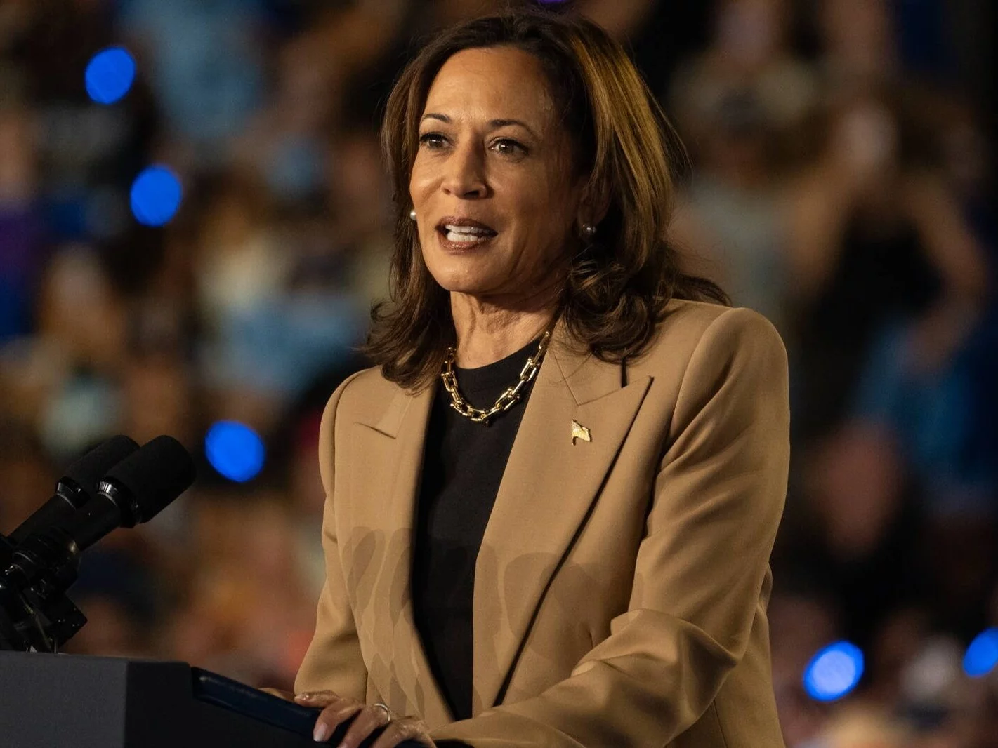 Kandydatka Partii Demokratycznej na prezydenta USA wiceprezydent Kamala Harris