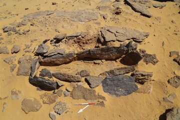Kamienna "skrzynia" odkryta w Berget el-Szeb