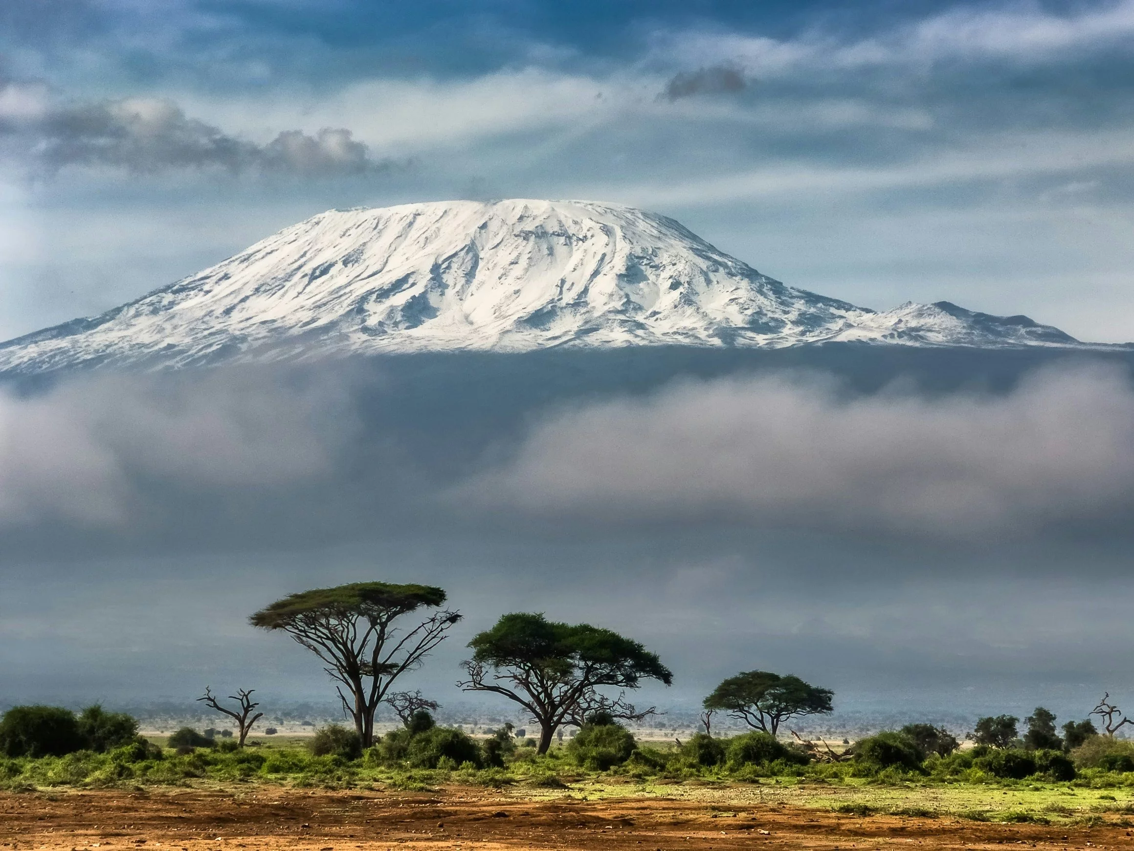 Katastrofa na najwyższym szczycie Afryki. Nie żyje pięć osób