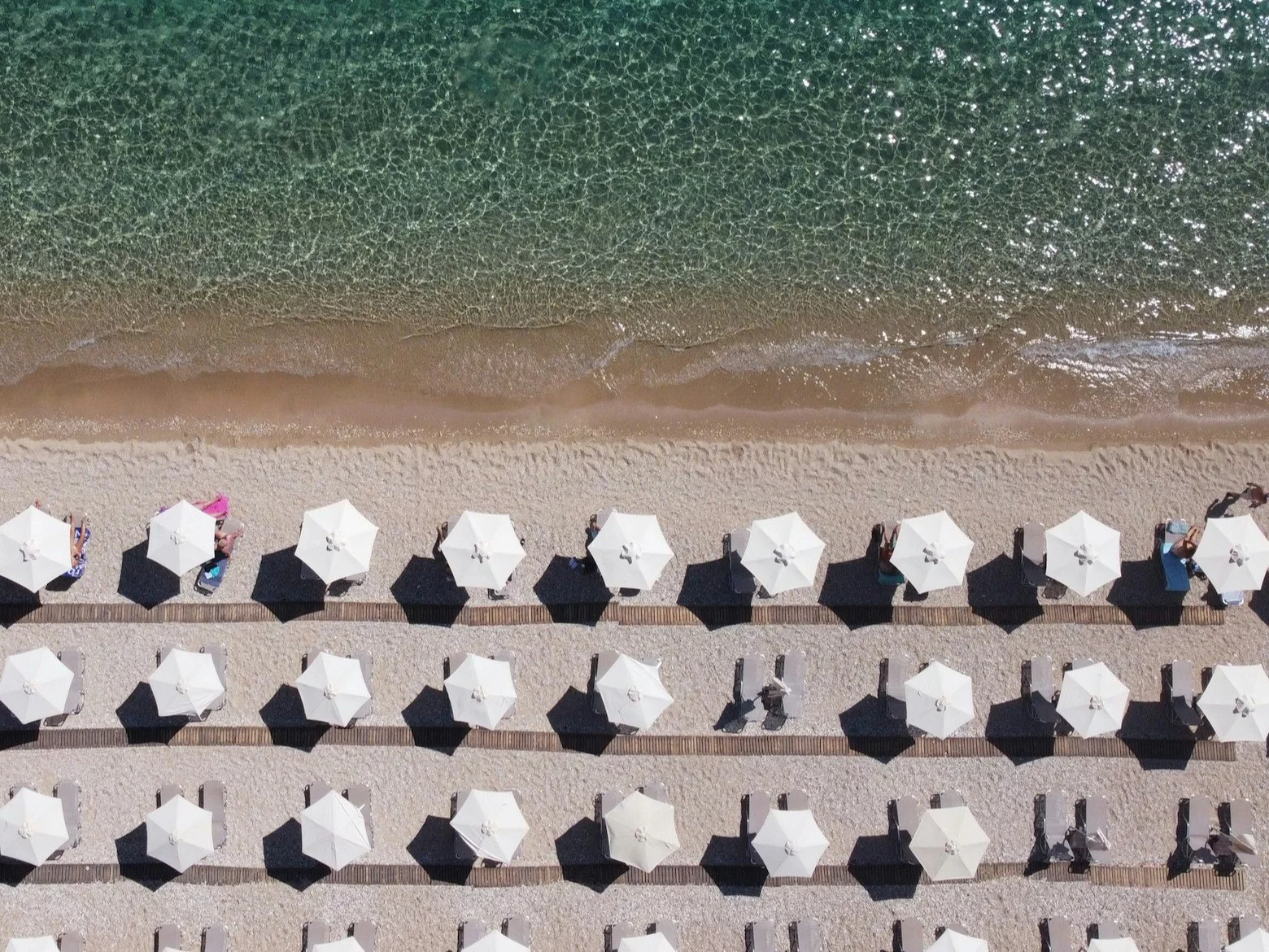 Leżaki i parasole na plaży, zdjęcie ilustracyjne