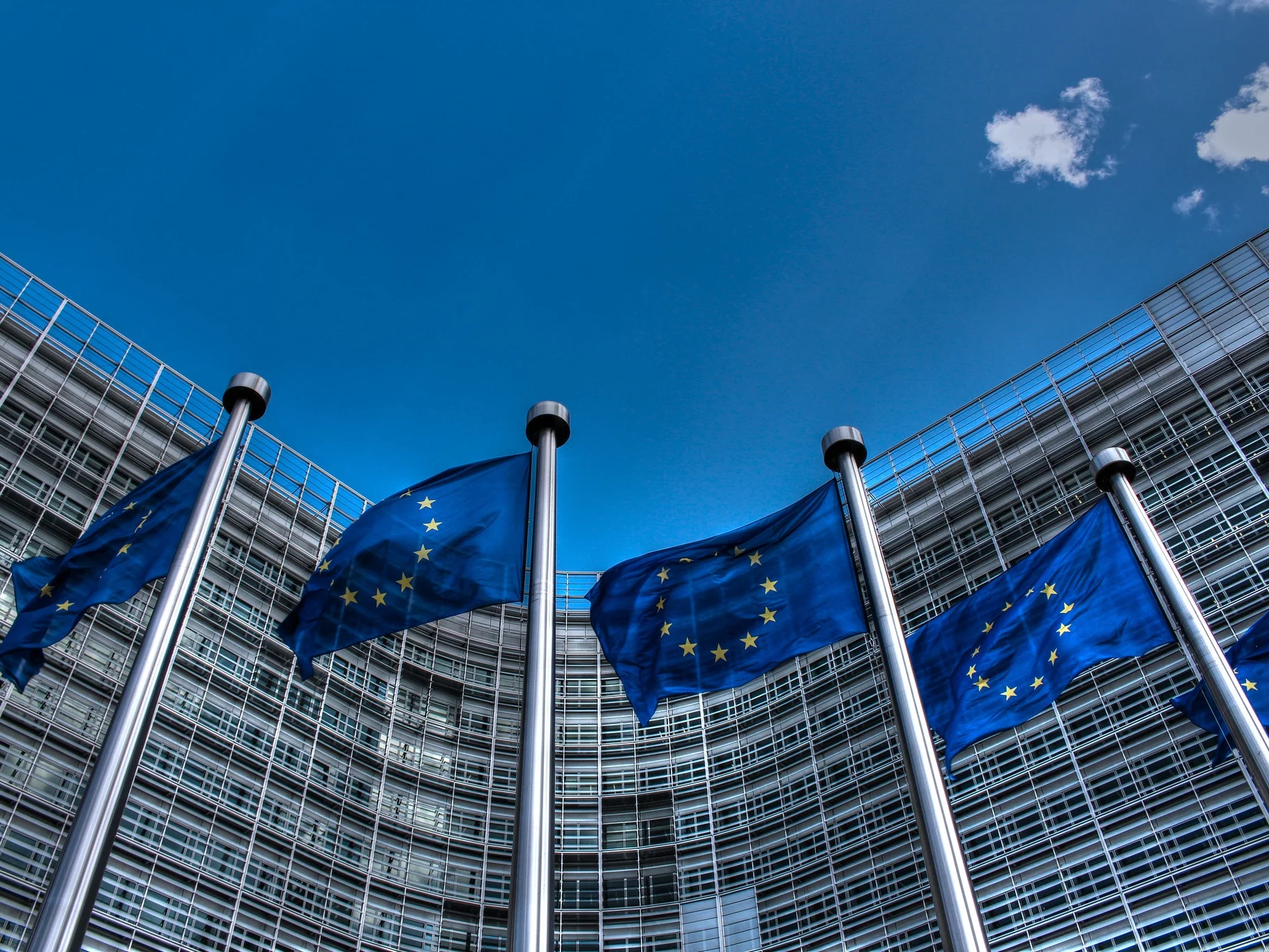Flagi Unii Europejskiej, zdjęcie ilustracyjne