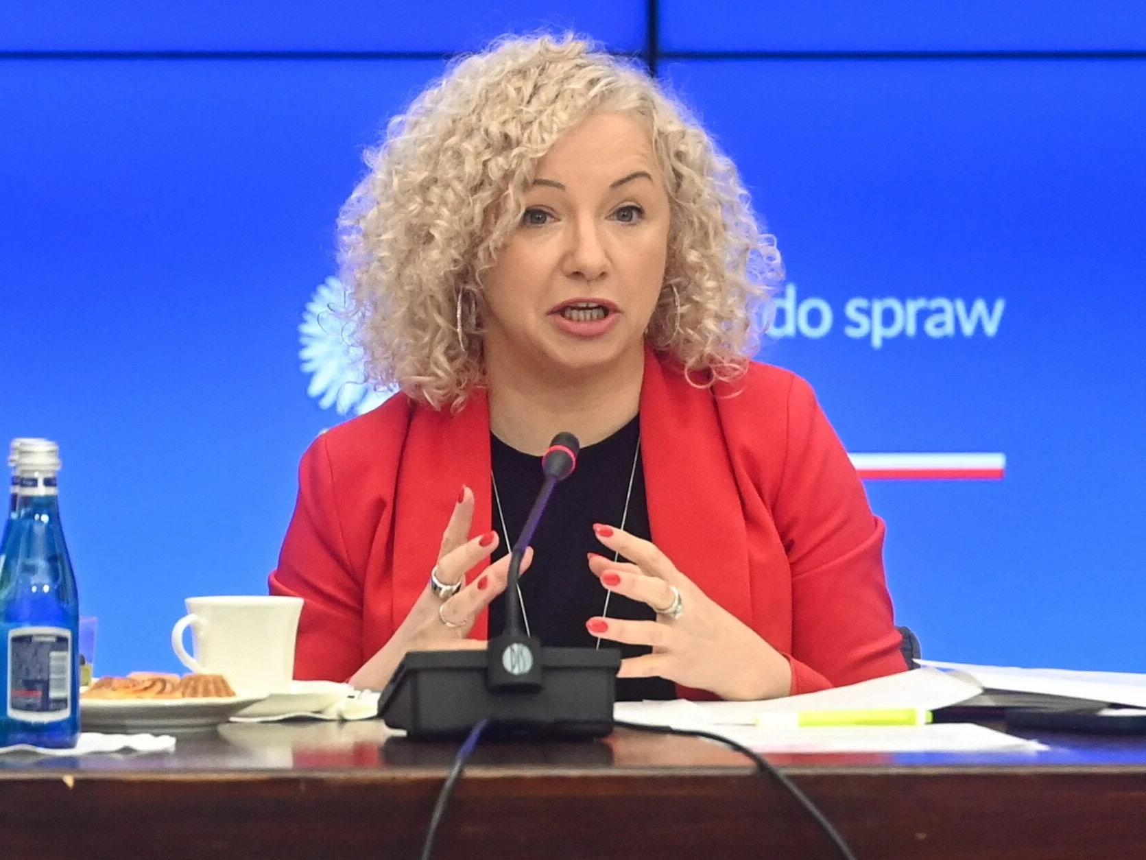 Katarzyna Kotula, Pełnomocnik Rządu do Spraw Równości