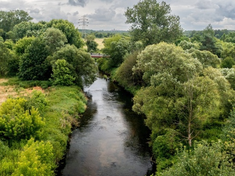 Rzeka Ner