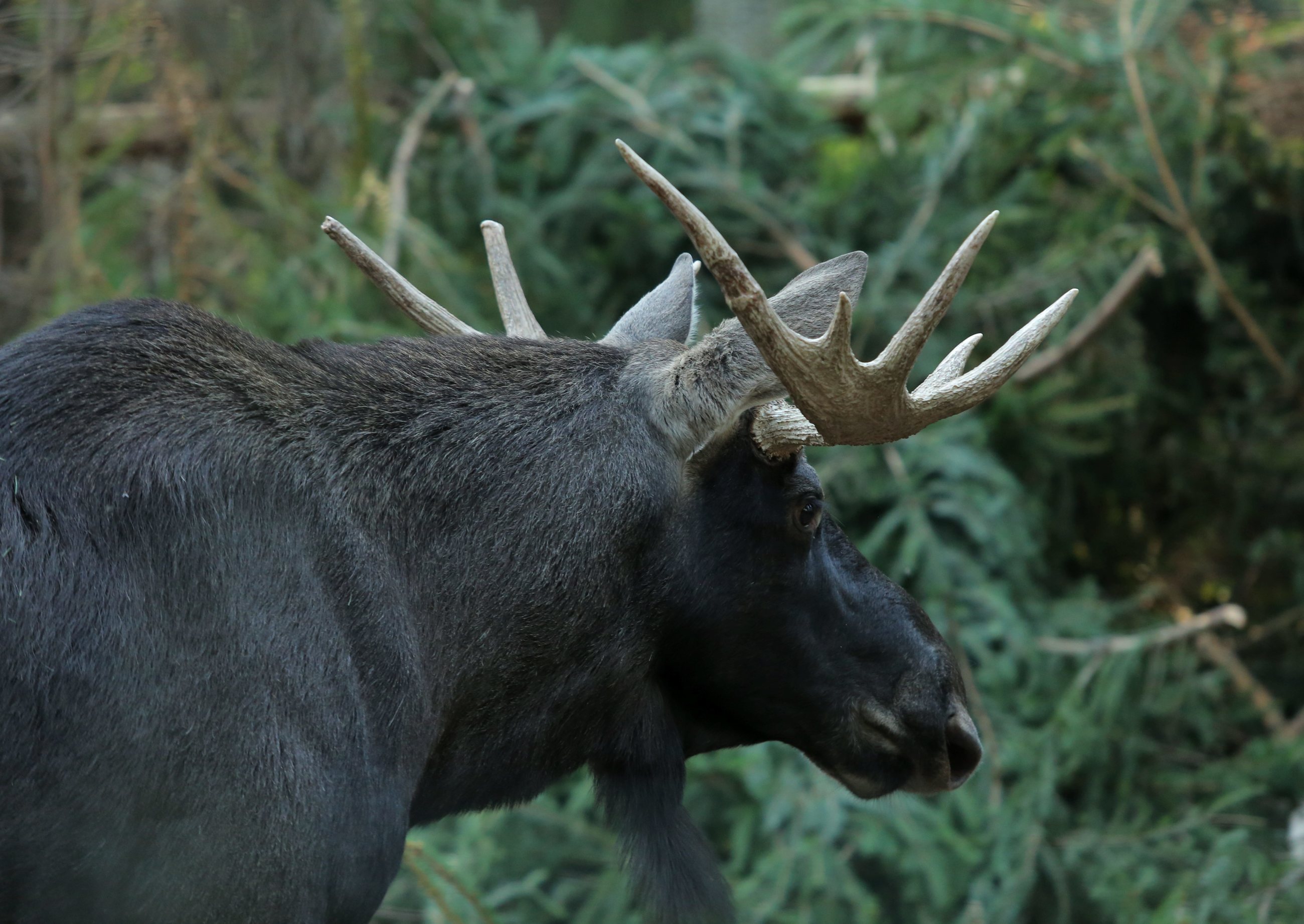 fot. zdjęcie ilustracyjne