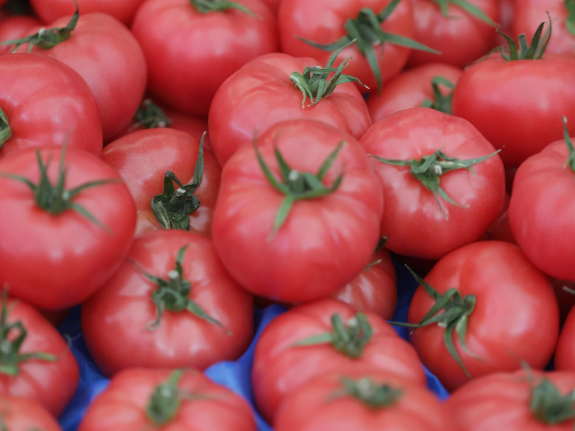 Produkty spożywcze sprzedawane na bazarze przy Hali Mirowskiej w Warszawie