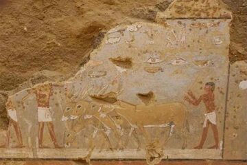 Malowidła w mastabie w Dahszur, Egipt. Ok. 2300 rok p.n.e