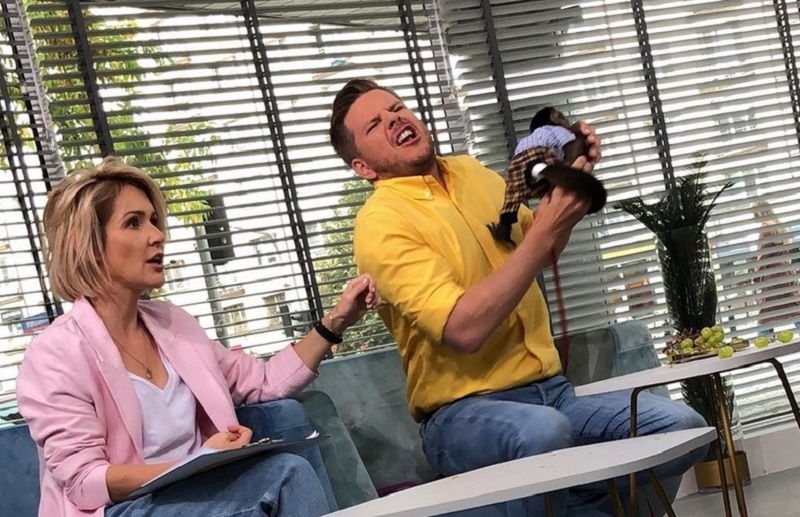 Prezenterów Kingę Rusin i Filipa Chajzera poróżnił jeden z odcinków "Dzień Dobry TVN".