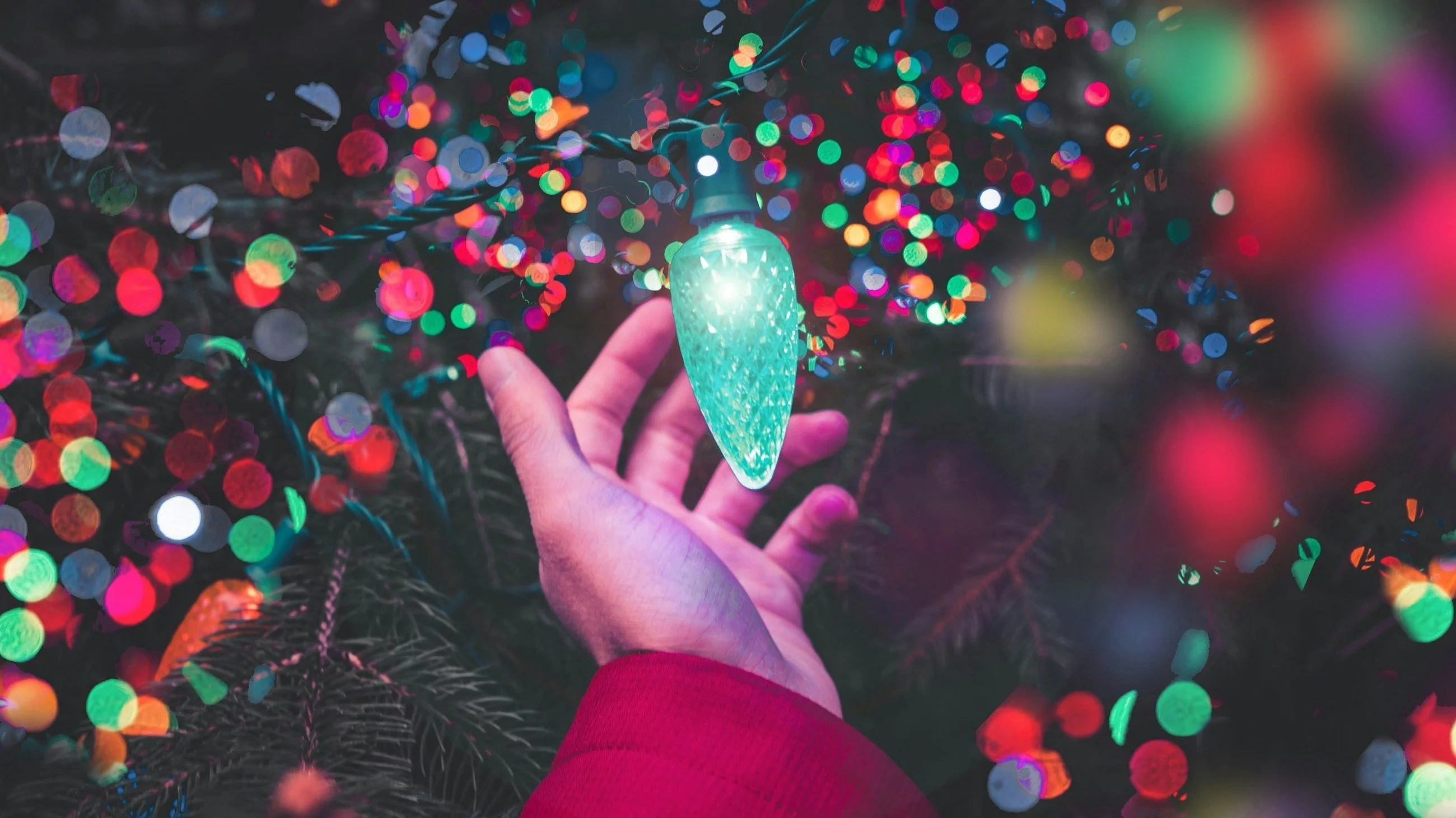 Choinka, lampki choinkowe. Zdj. ilustracyjne