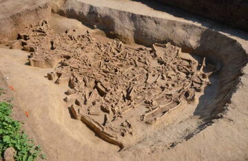 Masowy grób sprzed 7 tys. lat, Słowacja