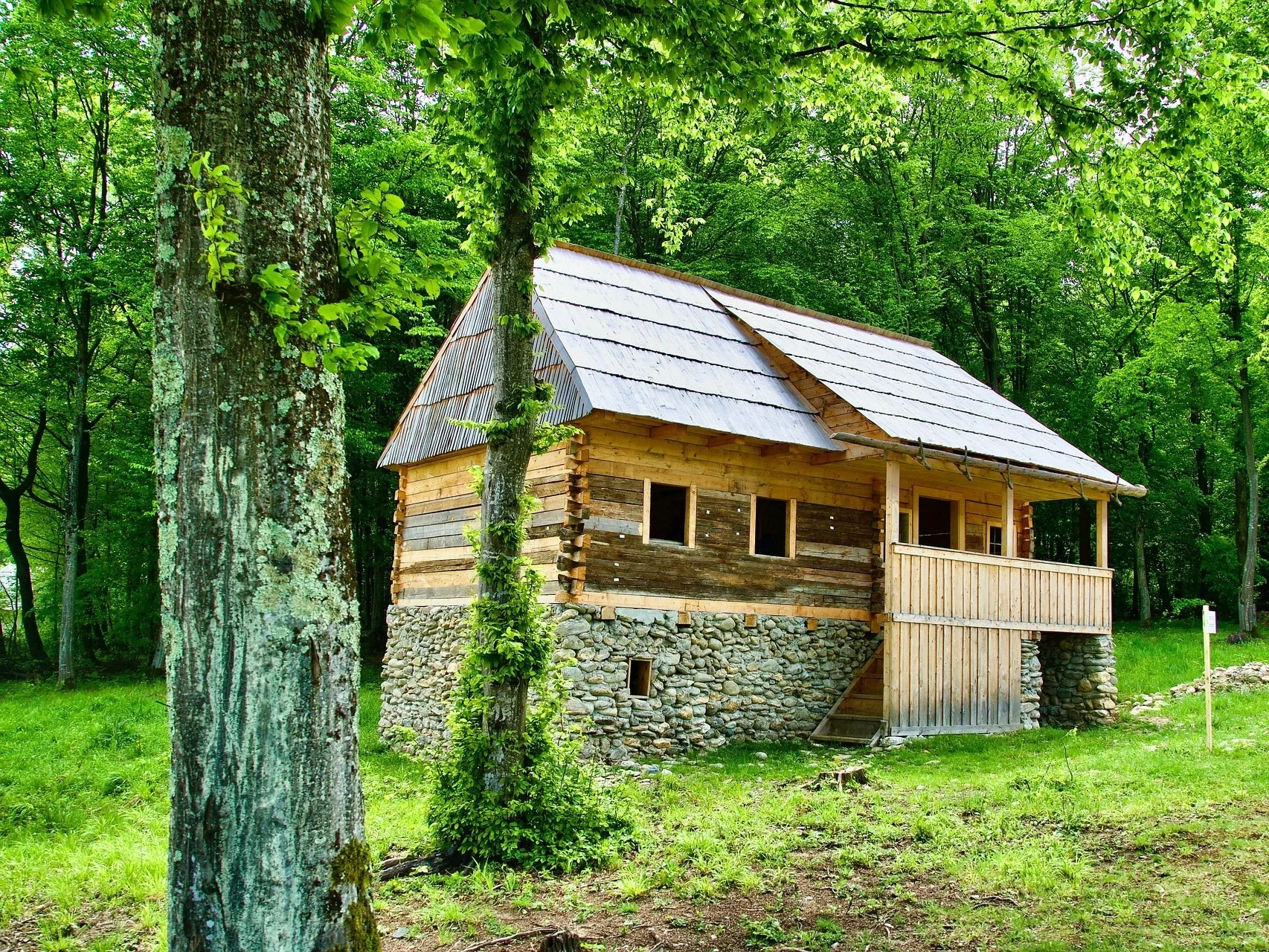 Dom w lesie, zdjęcie ilustracyjne