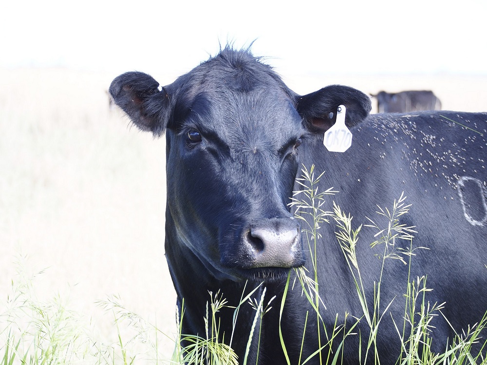 fot. zdjęcie ilustracyjne