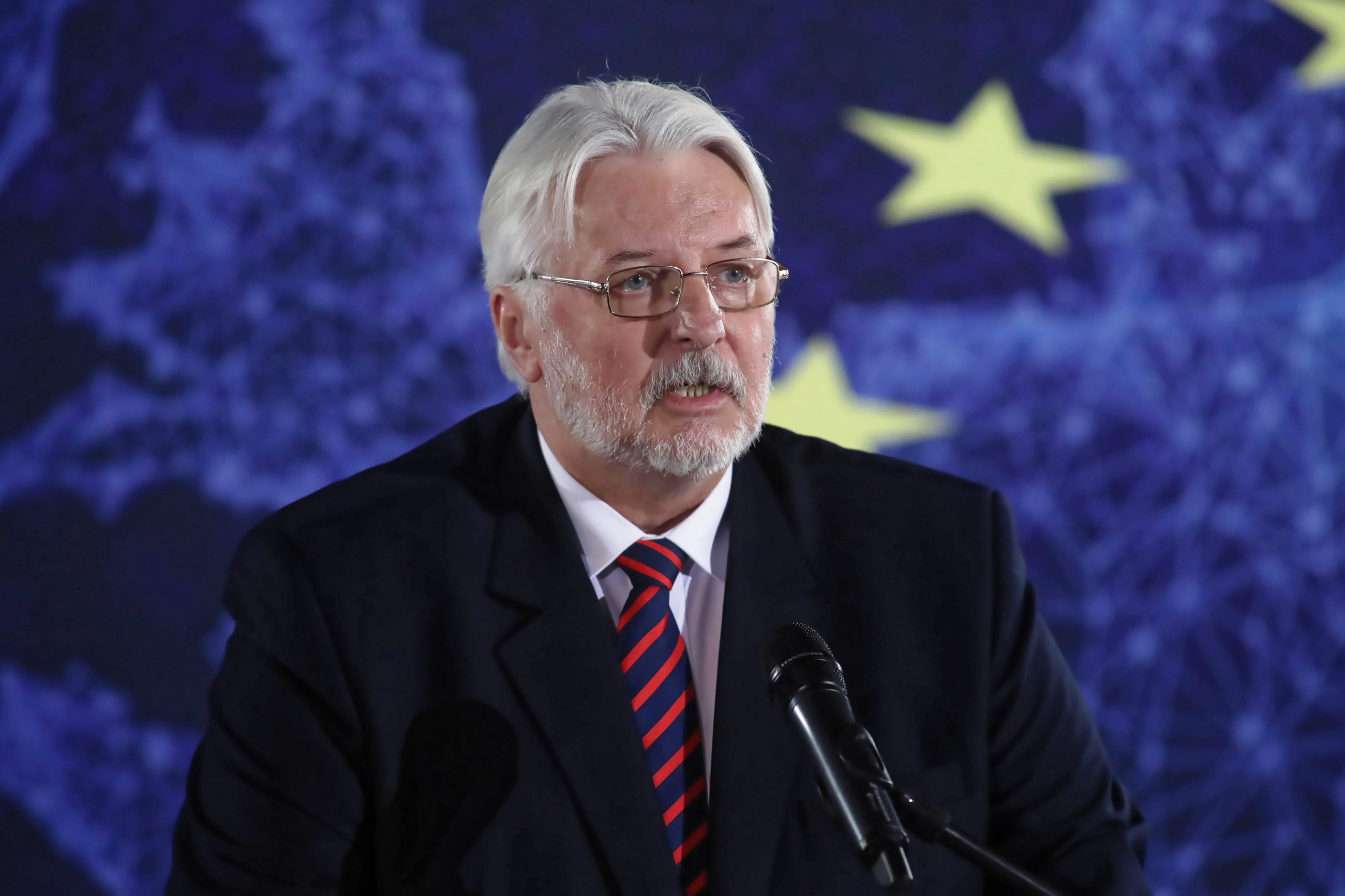 Witold Waszczykowski, europoseł PiS