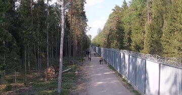 Na polsko-białoruskiej granicy doszło do kilku niebezpiecznych sytuacji, w czasie których agresywni, zamaskowani cudzoziemcy atakowali kamieniami i gałęziami polskie służby