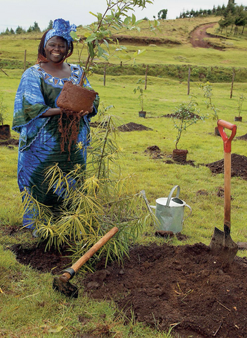 Nagradzane miały być inicjatywy pokojowe i działanie na rzecz rozbrojenia. Tymczasem nagroda przyznawana jest np. za sadzenie drzew w Afryce (Wangari Muta Maathai, 2004)