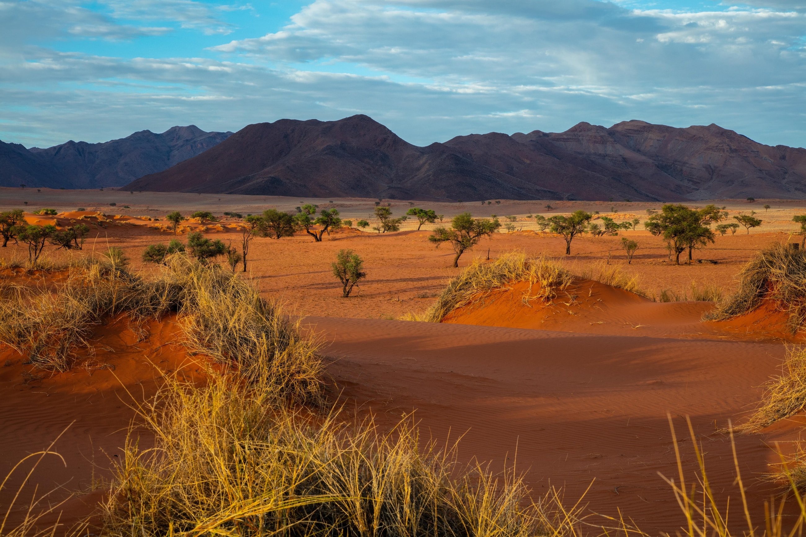 Krajobraz Namibii