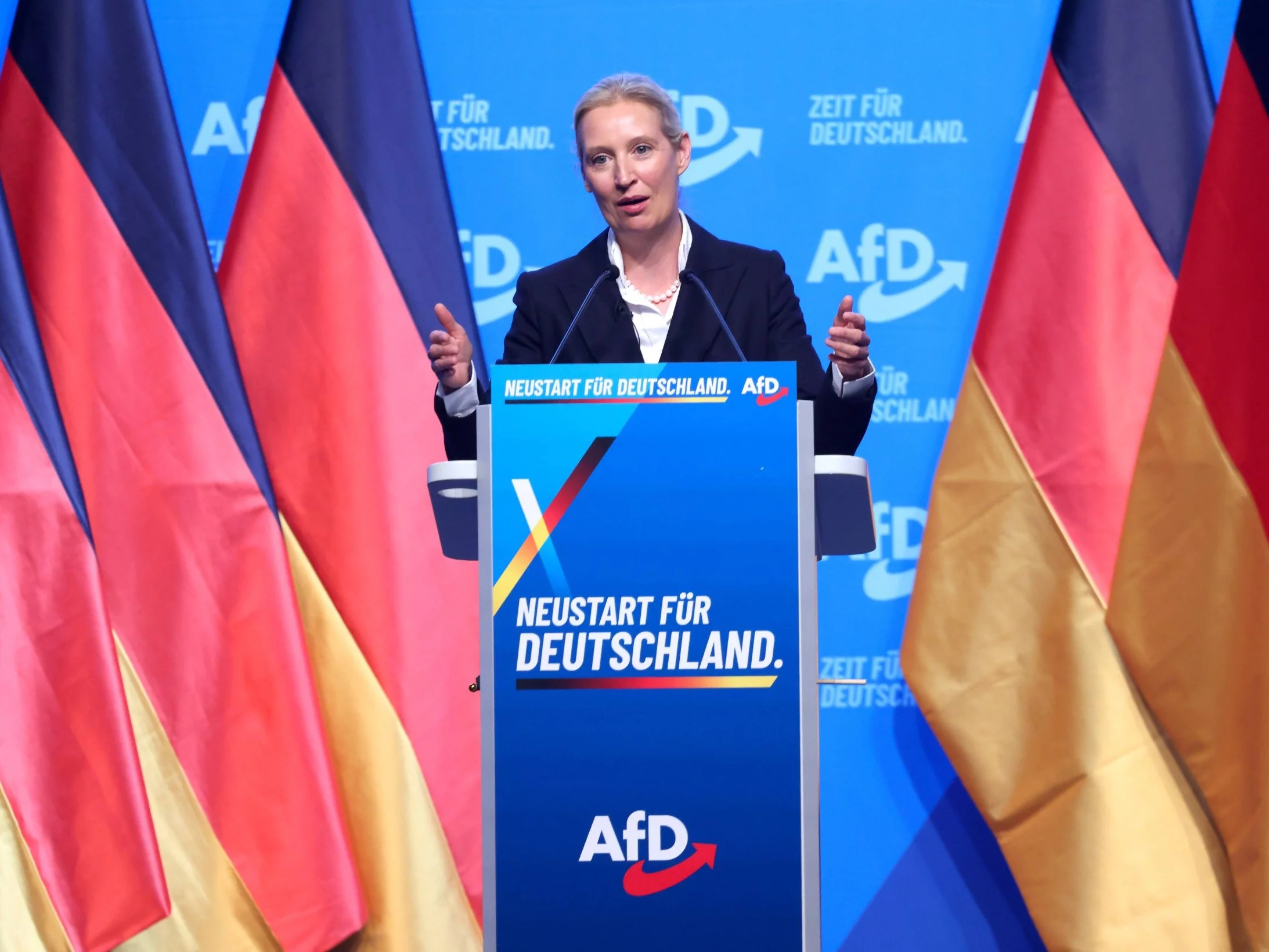 Współprzewodnicząca AfD Alice Weidel