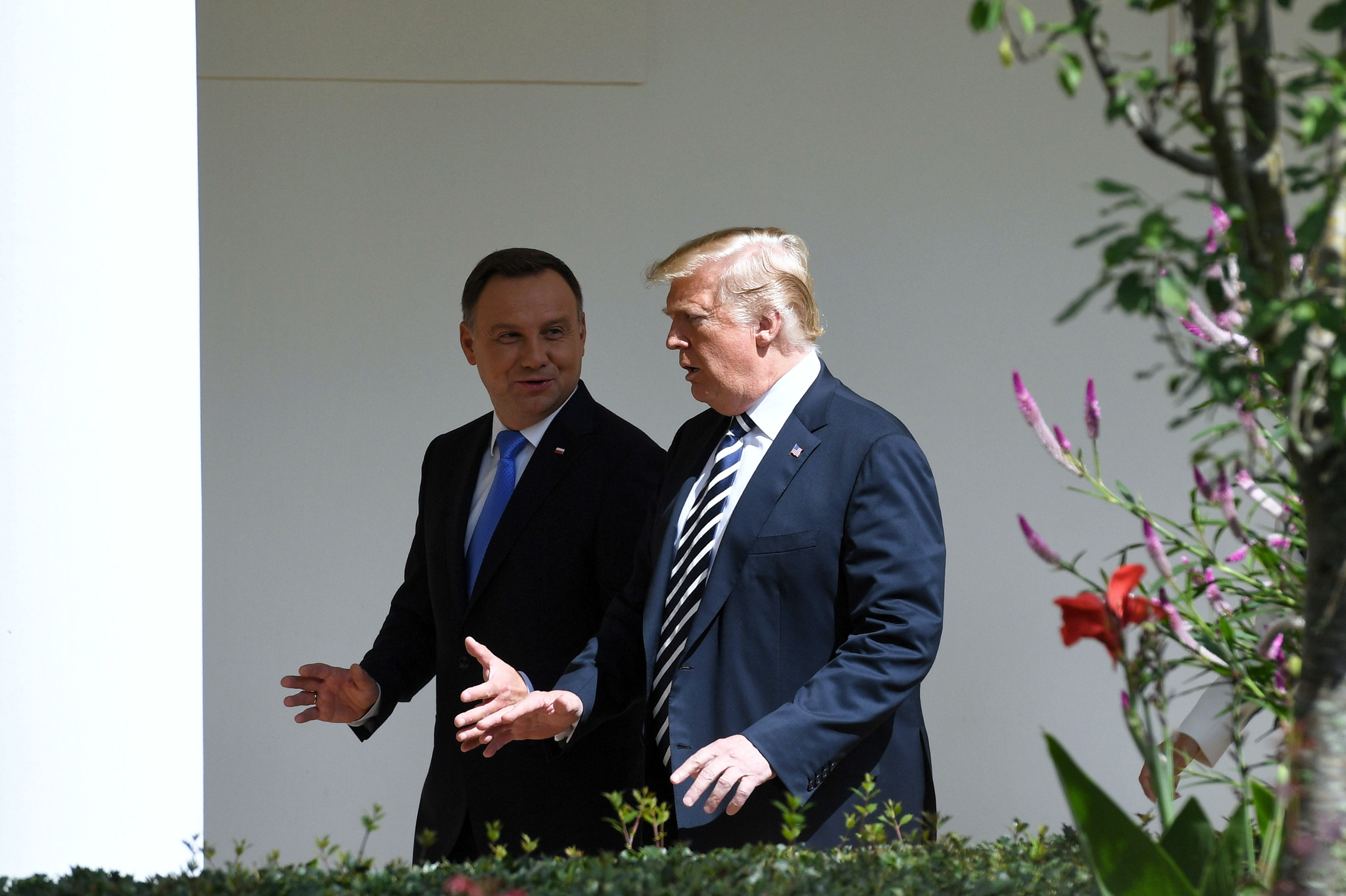 Spotkanie Duda-Trump