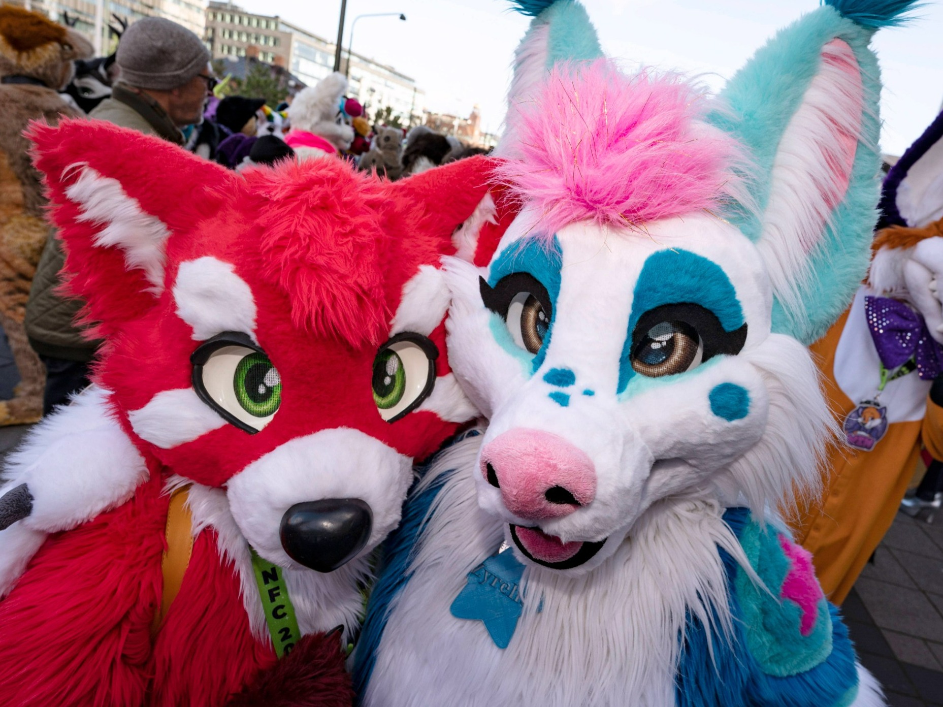 Furries, zdjęcie ilustracyjne