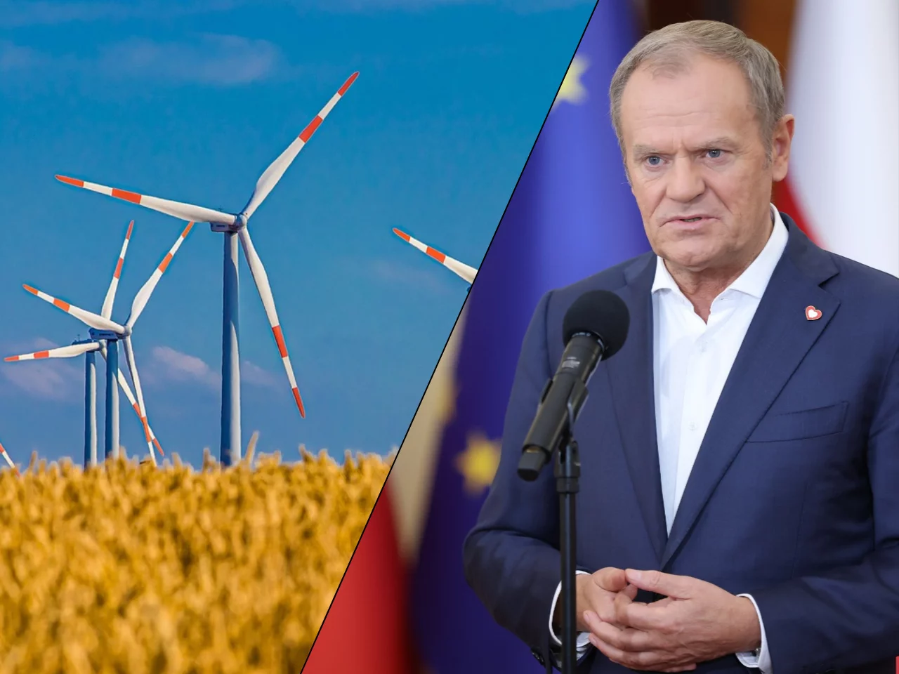 Niezłomny apostoł wiatraków