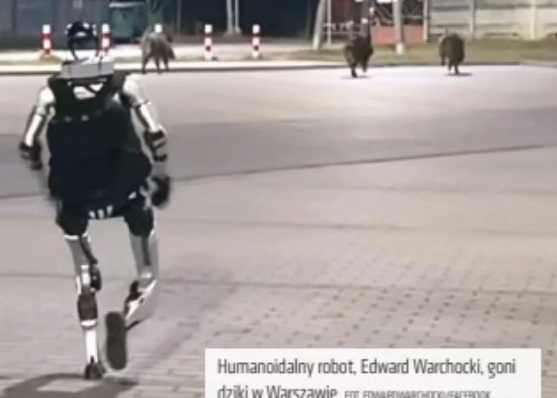 Robot Edward Warchocki pogonił w Warszawie dziki